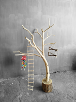 درختچه نریمان سایز بزرگ - Image 4