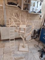 درختچه نریمان سایز متوسط