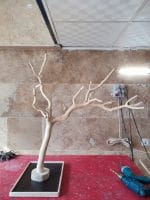 درختچه نریمان سایز متوسط - Image 2