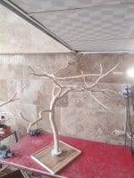 درختچه نریمان سایز متوسط - Image 3