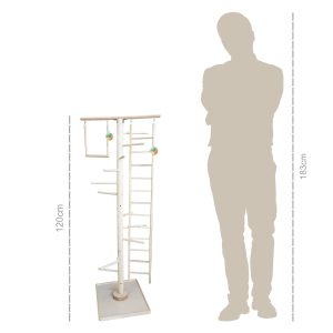 استند بازی طوطی مدل NT313 برای تقویت هوش و سرگرمی پرندگان خانگی