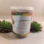 پلت سیتاکوس مینی