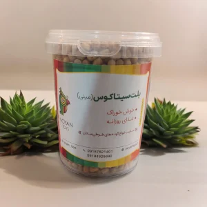 پلت سیتاکوس مینی