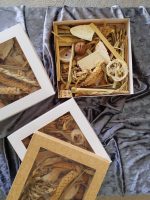 باکس جستجوی طوطی سانان - Image 2